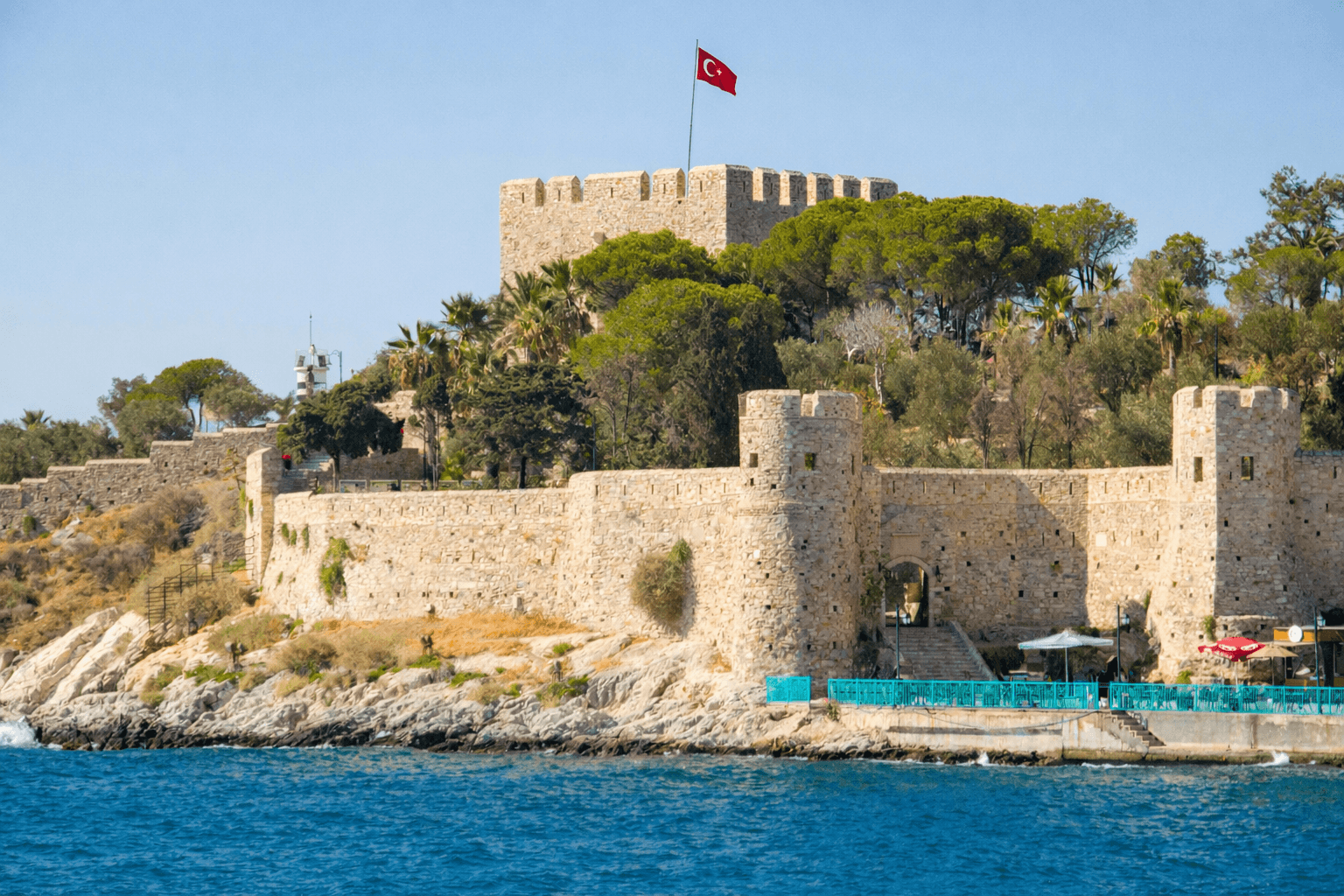 Nelly Nilüfer Kolukısa